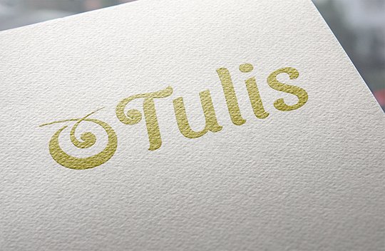 logo mockup