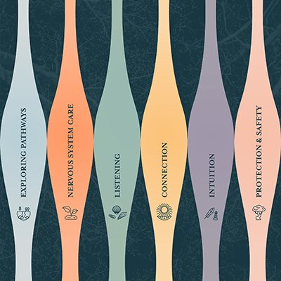 iconography combined with colours